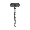 Quoizel Westover 1-Light Industrial Bronze Outdoor Hanging Lantern WVR1907IZ
